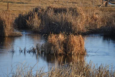 DSC_6016 (Large).JPG